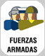 FF.AA. PROFESIONALES